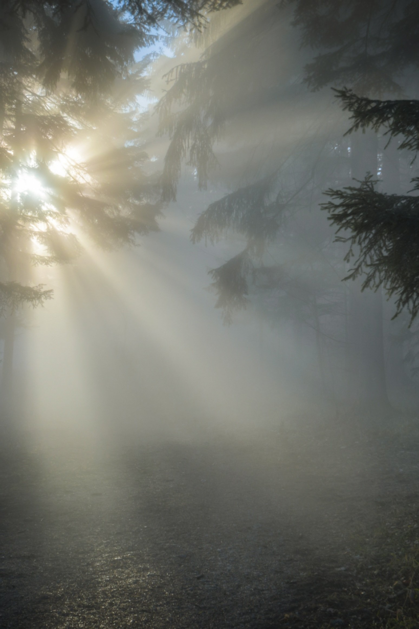 sunbeams-1547273